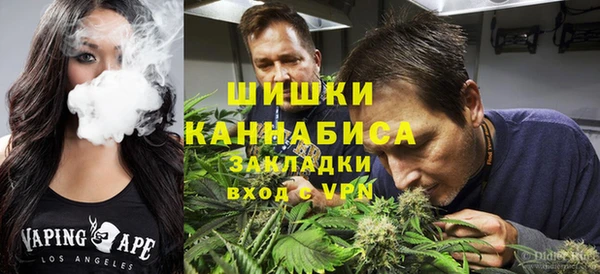 прущие крисы Верея