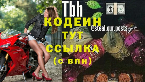 прущие крисы Верея