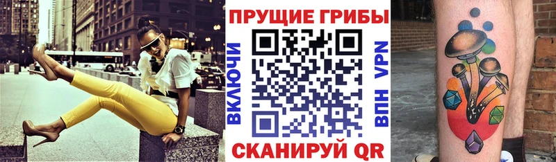 Галлюциногенные грибы мицелий цены Гагарин